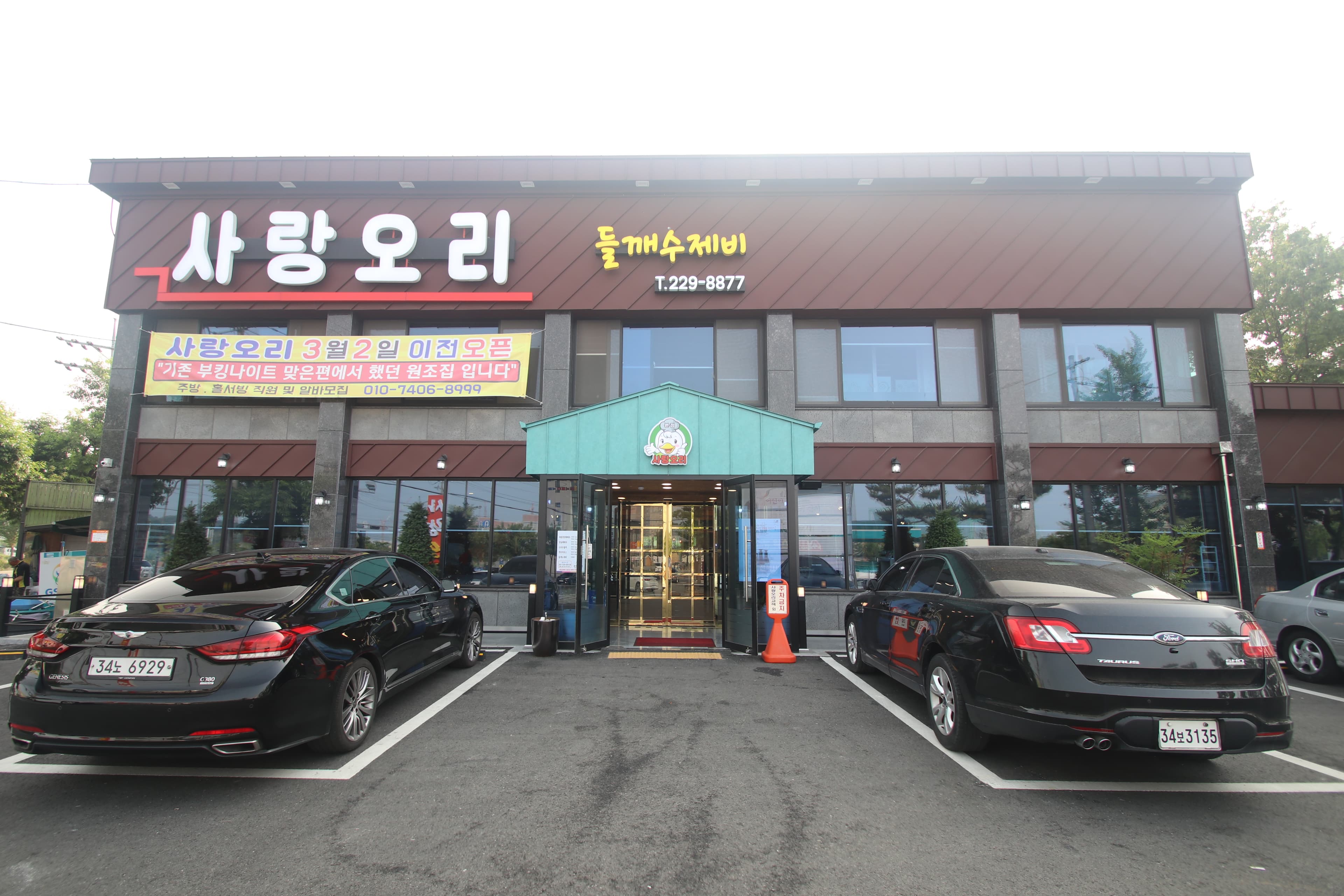 사랑오리 사진 2