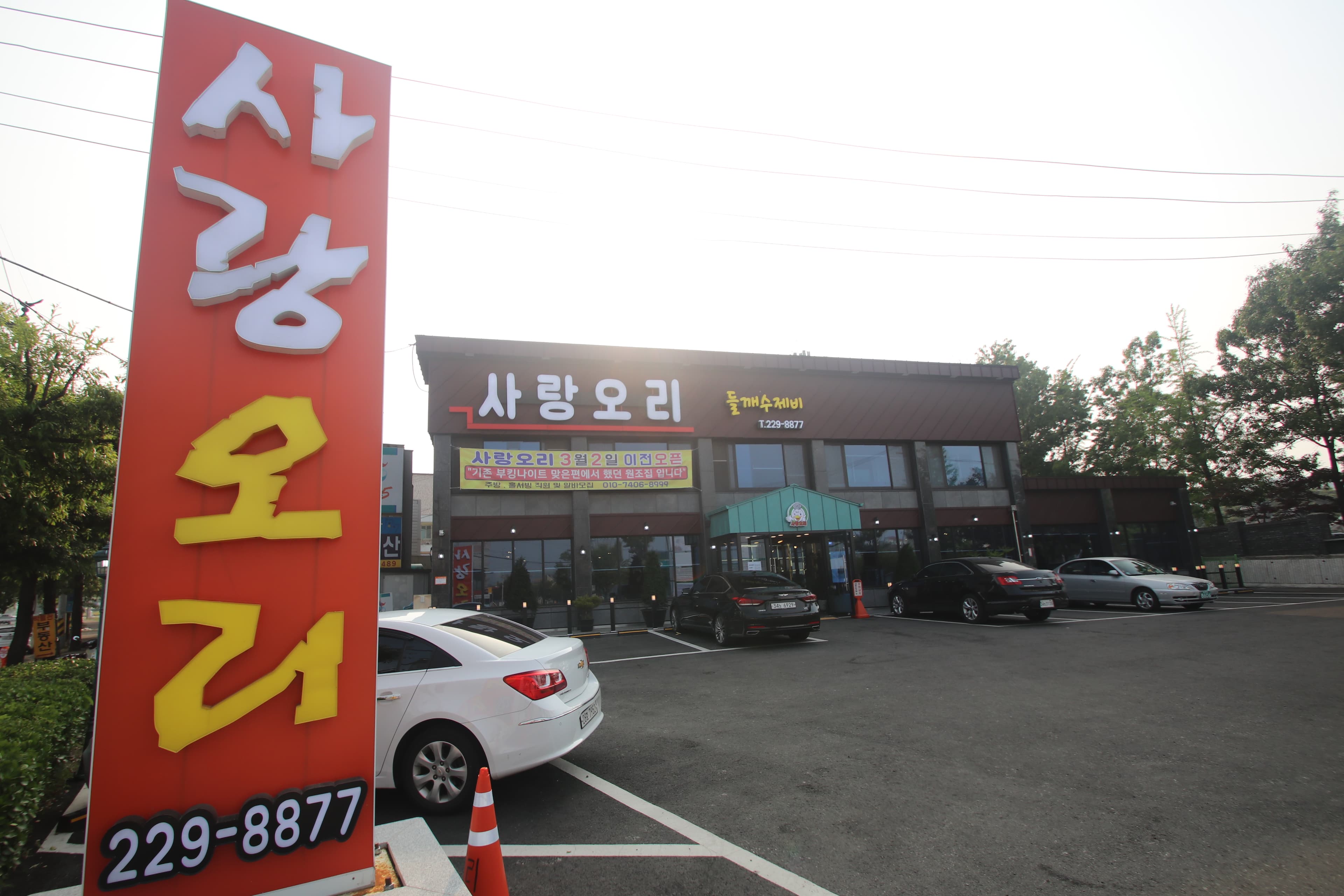 사랑오리 사진 1