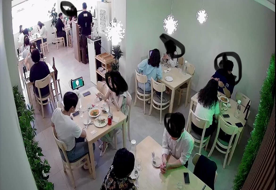 파스톨로지 사진 2