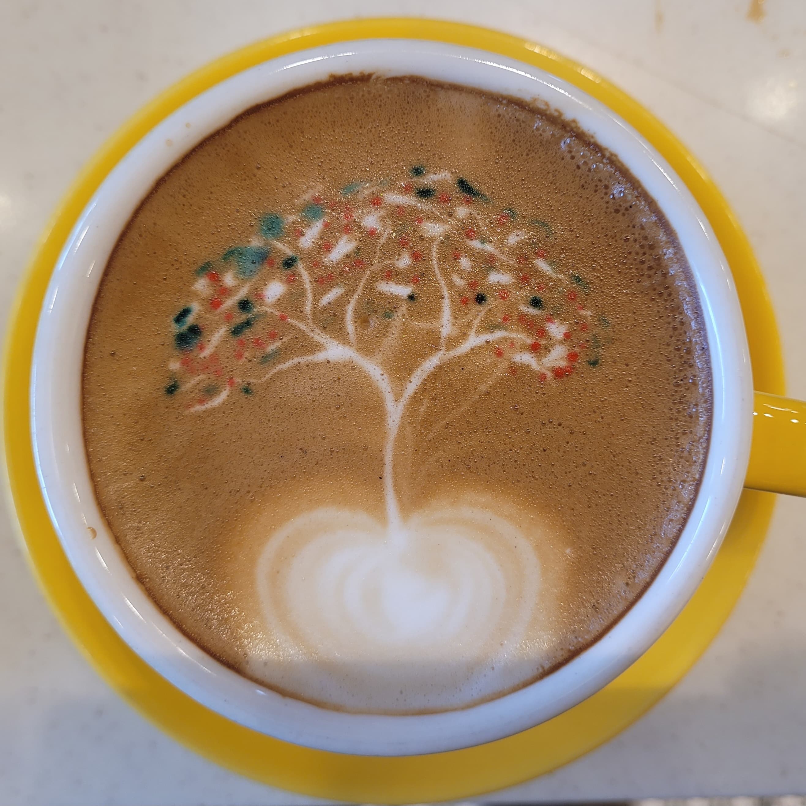 커피디딤 사진 2