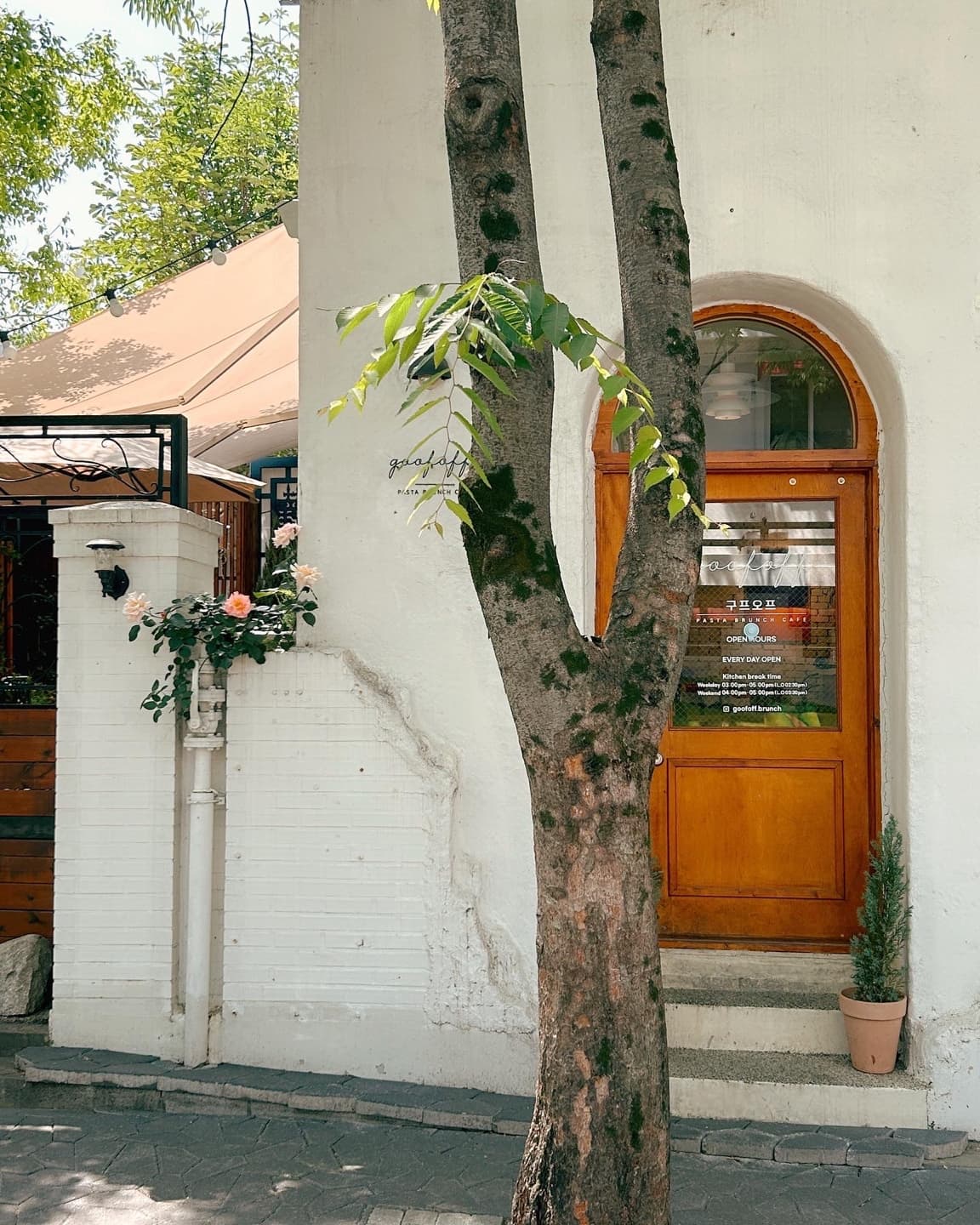 구프오프 본점 사진 1